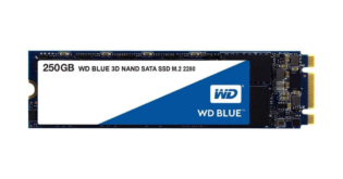 SSD WD Blue 250GB Sata3 M.2 WDS250G2B0B 3D Nand