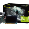 VGA Man GeForce GT 710 1GB SDDR3 64bit passiv LP